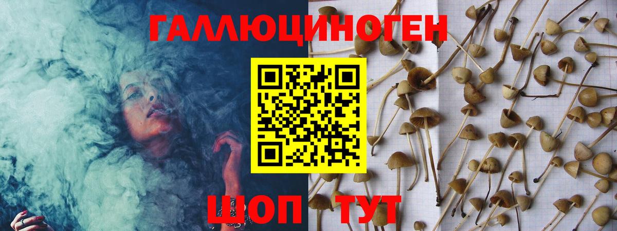 Родники  Галлюциногенные грибы Psilocybe  Вход с VPN 