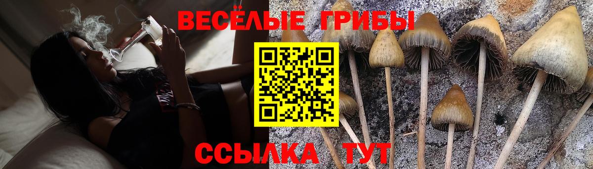 Псилоцибиновые грибы мицелий Родники